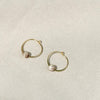 Dainty Hoops